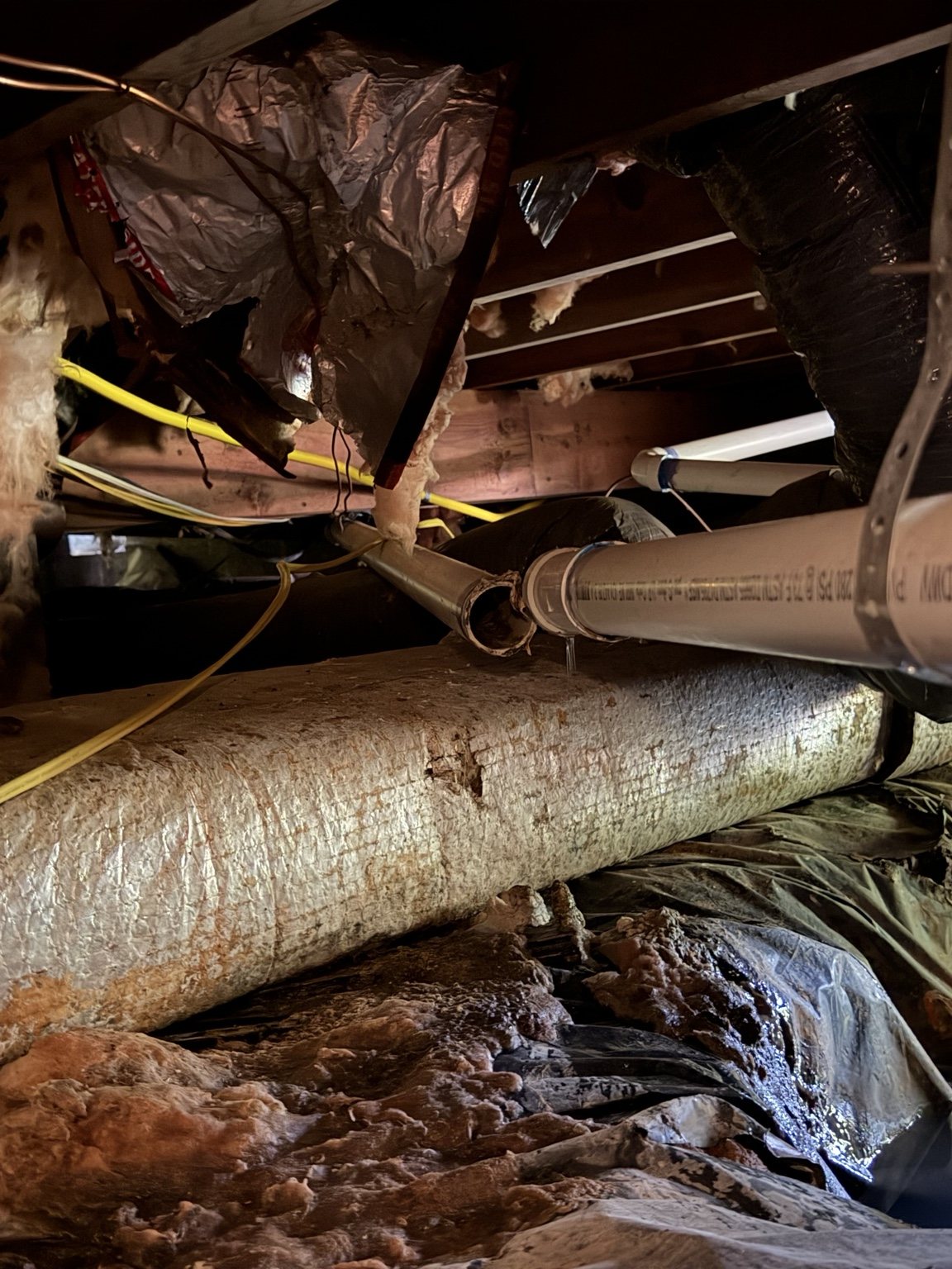 Crawlspace showing plumbing leak and wet conditions among mechanical systems